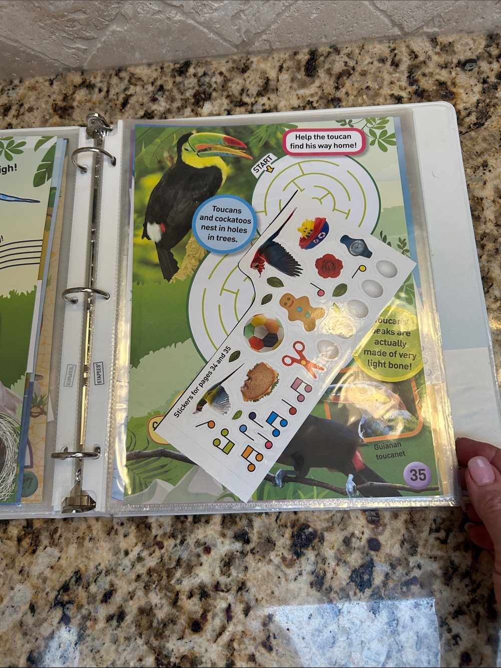 National Geographic Sticker Book - Picture 9 of 16